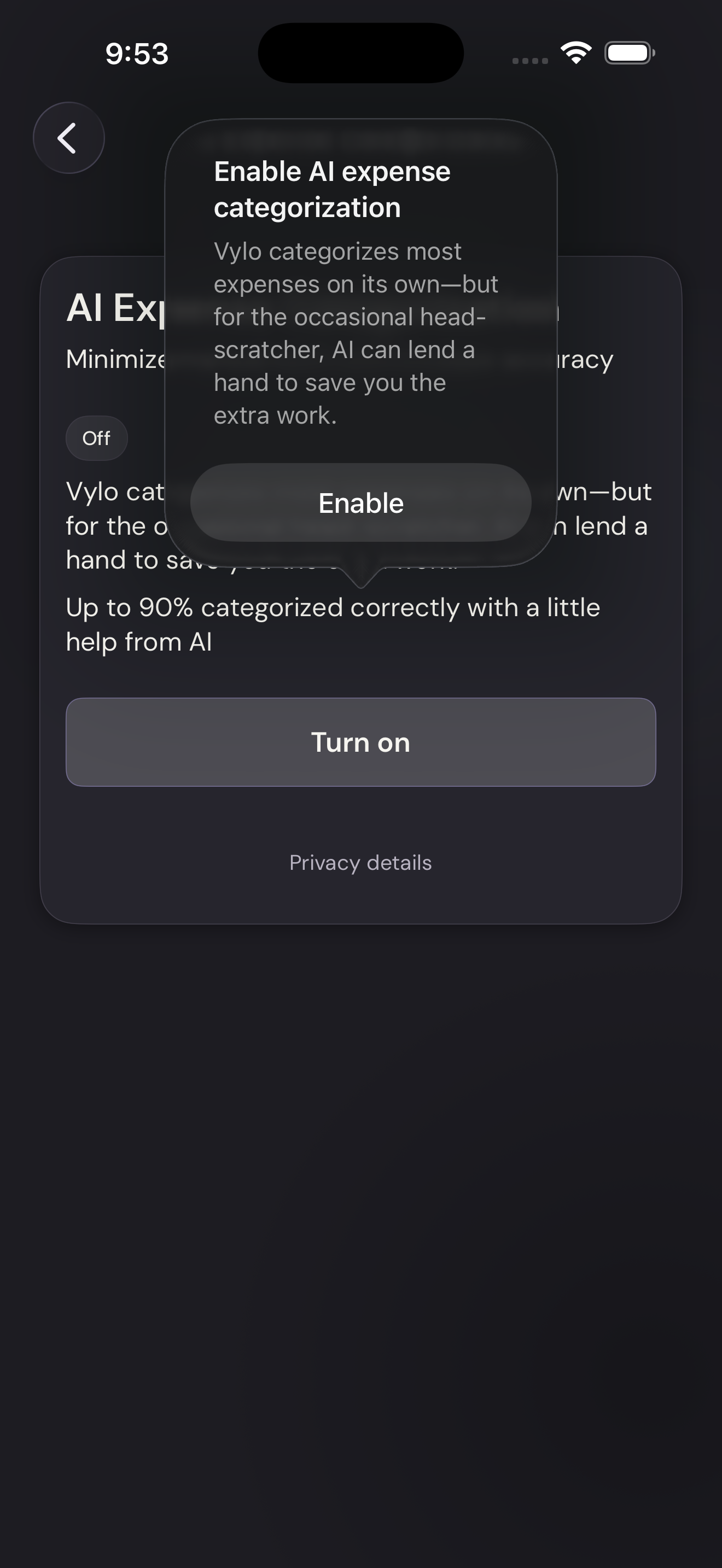 Vylo for iPhone: Enable it only if you agree. The relevant control is outlined.